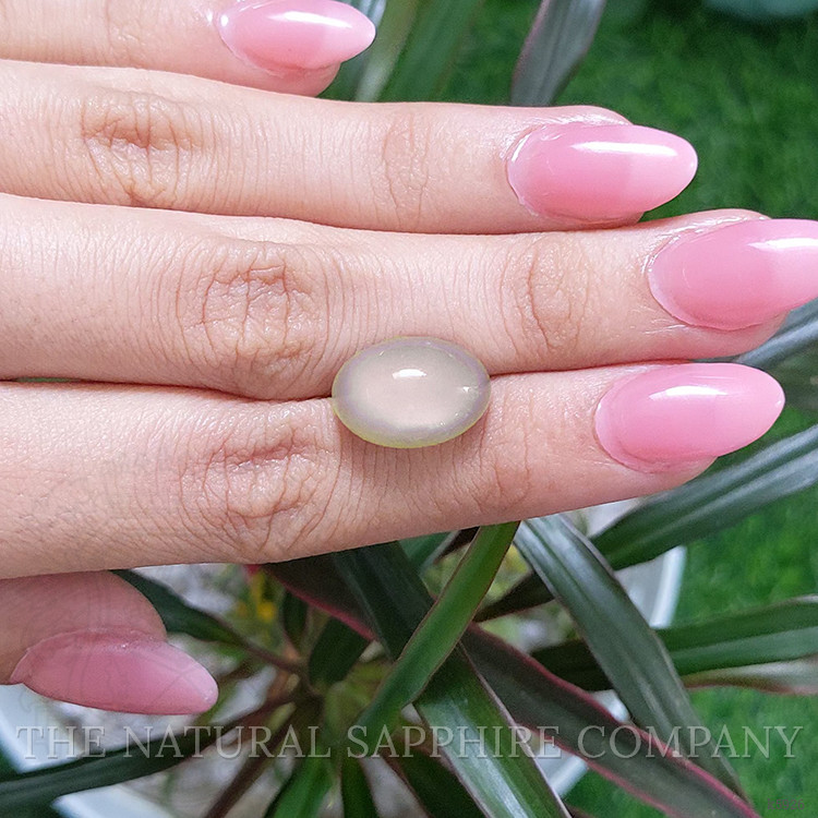 10.08 Ct. Cabochon Moonstone from Ceylon (Sri Lanka)