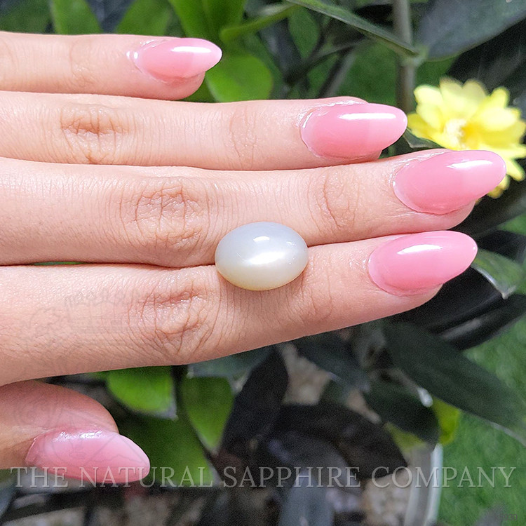 11.55 Ct. Cabochon Moonstone from Ceylon (Sri Lanka)