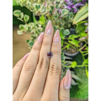 1.44 Ct. Spinel from Ceylon (Sri Lanka) Life Style