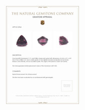 1.21 Ct. Spinel from Ceylon (Sri Lanka) Appraisal