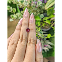 1.49 Ct. Spinel from Ceylon (Sri Lanka) Life Style