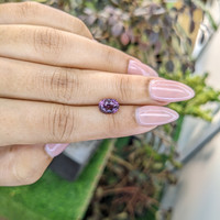 2.30 Ct. Spinel from Ceylon (Sri Lanka) Life Style