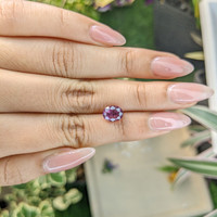 2.34 Ct. Spinel from Ceylon (Sri Lanka) Life Style