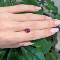 2.34 Ct. Spinel from Ceylon (Sri Lanka) Life Style