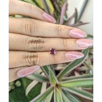 1.29 Ct. Spinel from Ceylon (Sri Lanka) Life Style