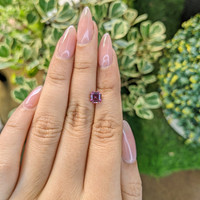 1.14 Ct. Spinel from Ceylon (Sri Lanka) Life Style