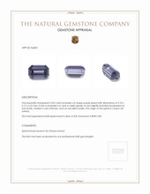 3.03 Ct. Spinel from Ceylon (Sri Lanka) Appraisal