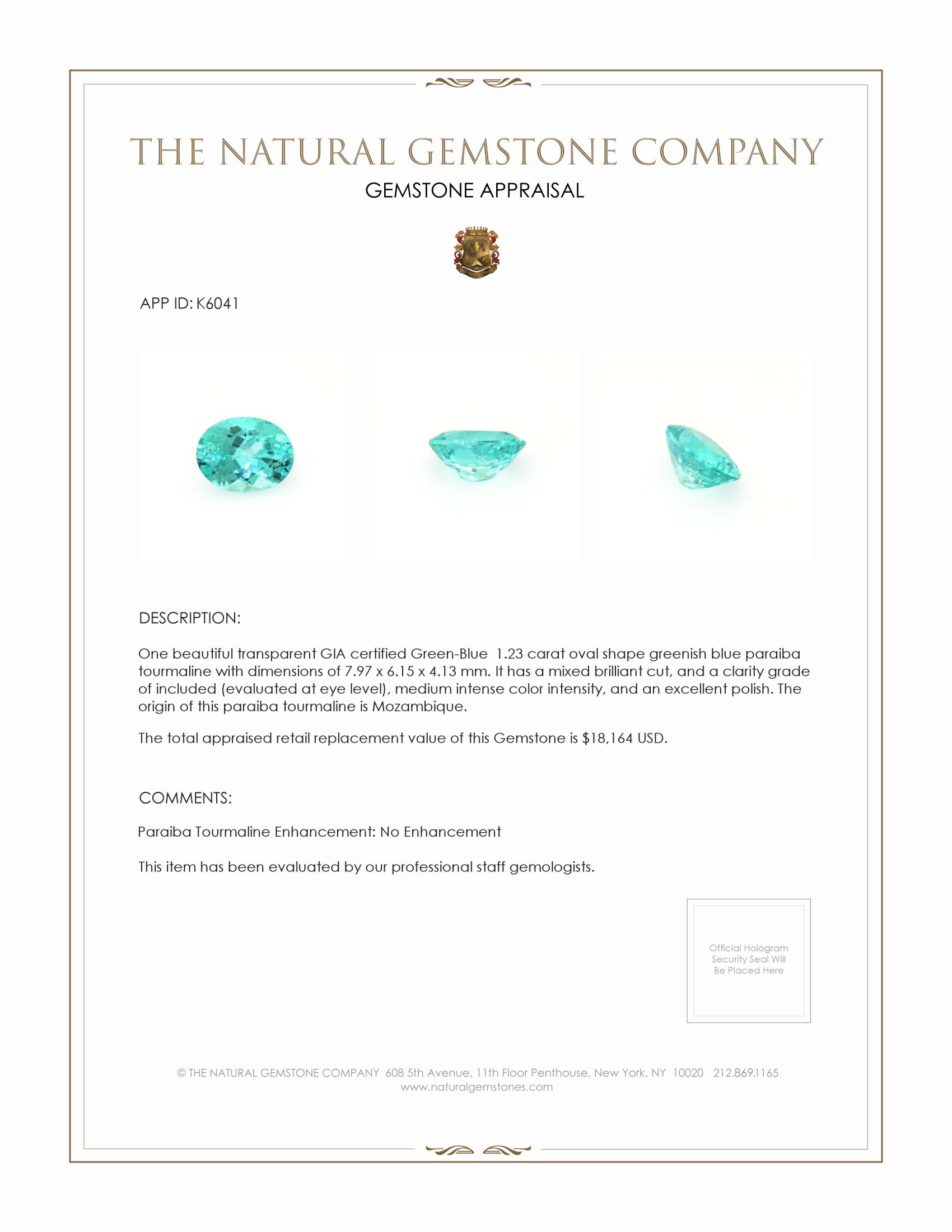 1.23 Ct. Paraiba Tourmaline from Mozambique