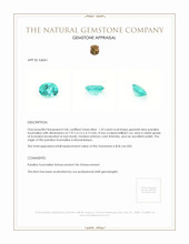 1.23 Ct. Paraiba Tourmaline from Mozambique Appraisal
