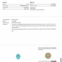 1.23 Ct. Paraiba Tourmaline from Mozambique Scan Report