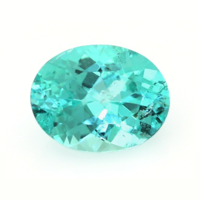 1.23 Ct. Paraiba Tourmaline from Mozambique Video