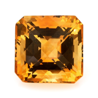44.23 Ct. Citrine from Brazil Video