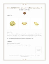 2.01 Ct. Zircon from Ceylon (Sri Lanka) Appraisal