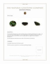 6.16 Ct. Tourmaline from Madagascar Appraisal