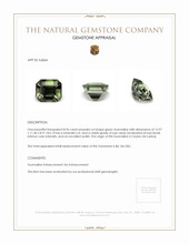 8.96 Ct. Tourmaline from Ceylon (Sri Lanka) Appraisal