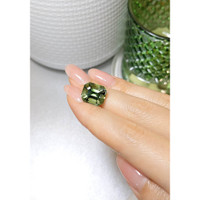 8.96 Ct. Tourmaline from Ceylon (Sri Lanka) Life Style