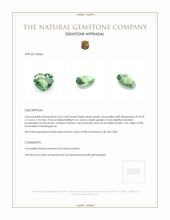 4.63 Ct. Tourmaline from Madagascar Appraisal