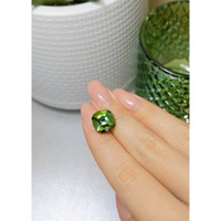 7.04 Ct. Tourmaline from Brazil Life Style