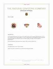 0.66 Ct. Multi Color Tourmaline from Mozambique Appraisal