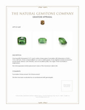 3.27 Ct. Tourmaline from Afghanistan Appraisal