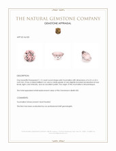 1.12 Ct. Tourmaline from Mozambique Appraisal