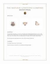 1.12 Ct. Tourmaline from Mozambique Appraisal