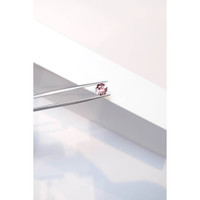 1.60 Ct. Tourmaline from Mozambique Life Style
