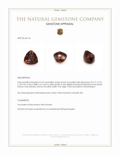 4.43 Ct. Brown Tourmaline from Mozambique Appraisal