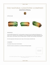 60.77 Ct. Tourmaline from Mozambique Appraisal