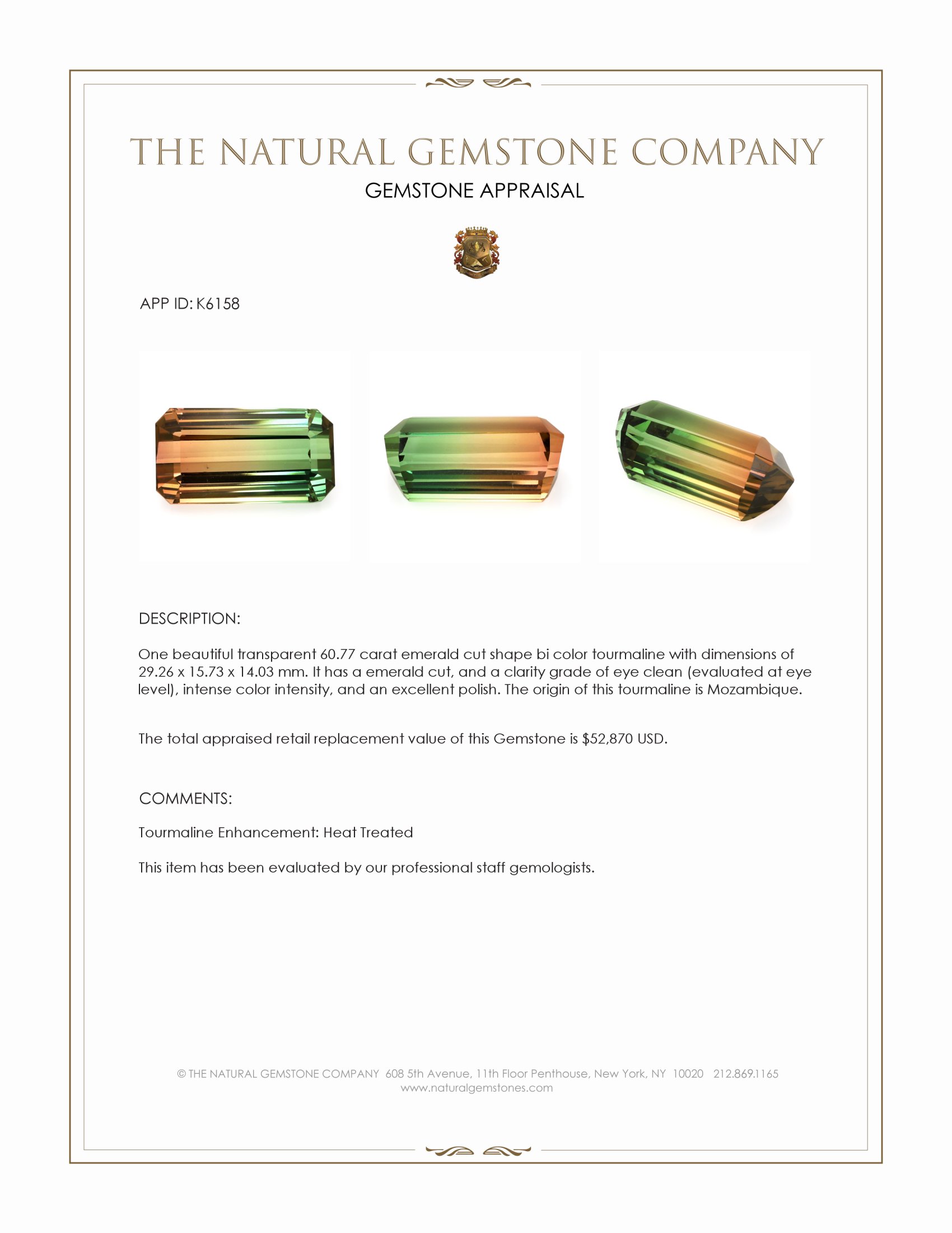 60.77 Ct. Bi Color Tourmaline from Mozambique