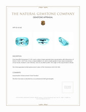 19.49 Ct. Aquamarine from Brazil Appraisal