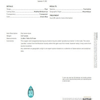 3.47 Ct. Paraiba Tourmaline from Mozambique Scan Report