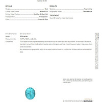 5.59 Ct. Paraiba Tourmaline from Mozambique Scan Report