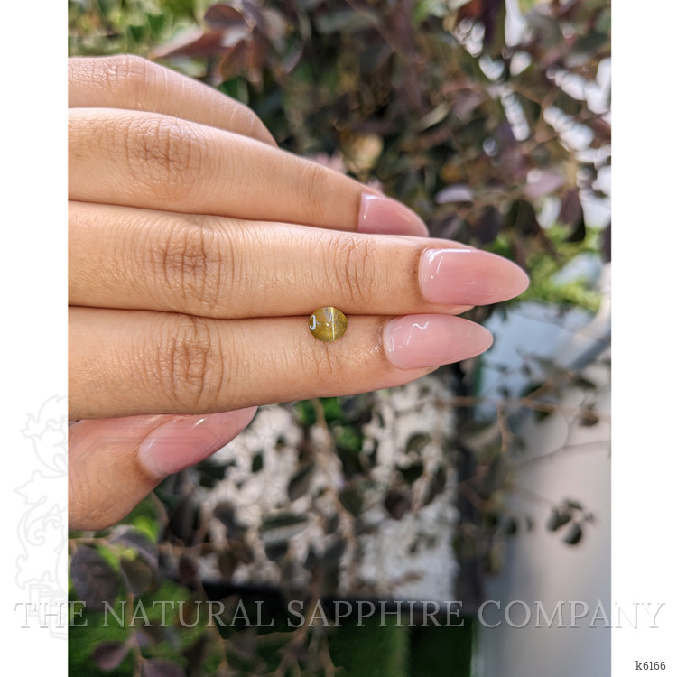 1.00 Ct. Cabochon Chrysoberyl from Ceylon (Sri Lanka)