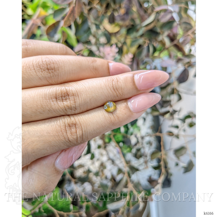 1.00 Ct. Cabochon Chrysoberyl from Ceylon (Sri Lanka)