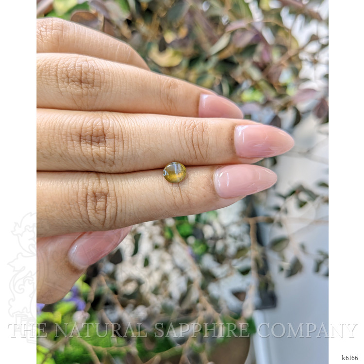 1.00 Ct. Cabochon Chrysoberyl from Ceylon (Sri Lanka)