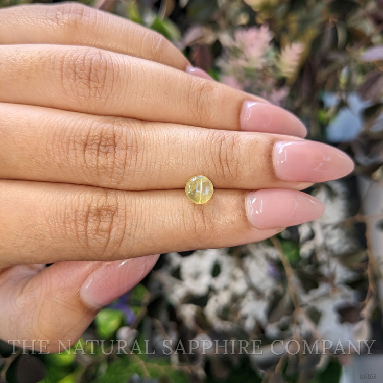1.48 Ct. Cabochon Chrysoberyl from Ceylon (Sri Lanka)