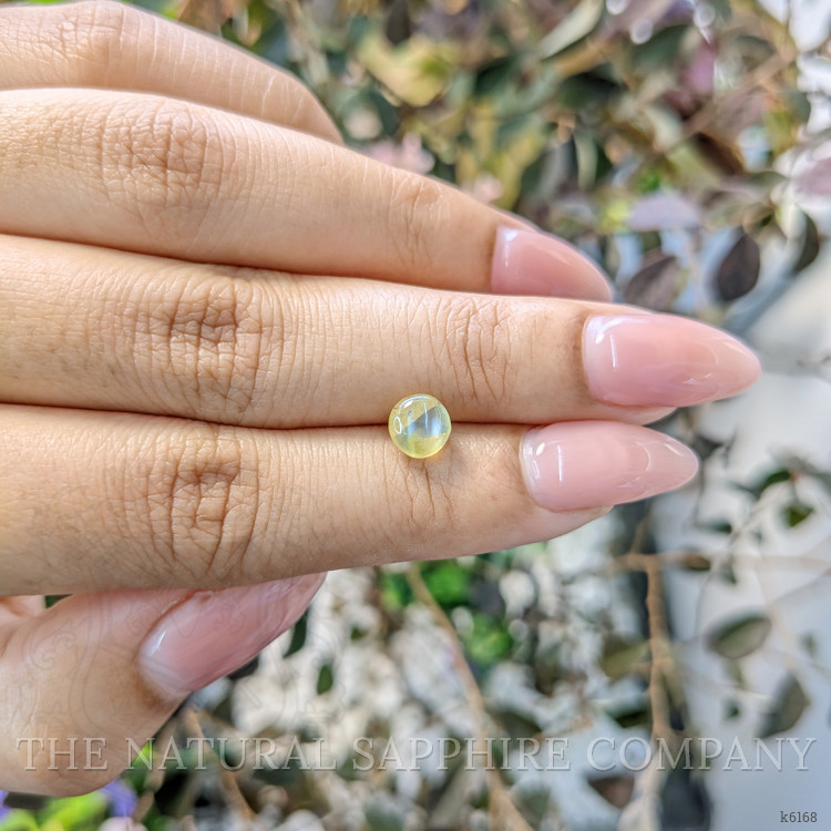1.48 Ct. Cabochon Chrysoberyl from Ceylon (Sri Lanka)