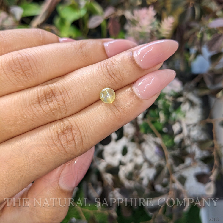 1.48 Ct. Cabochon Chrysoberyl from Ceylon (Sri Lanka)