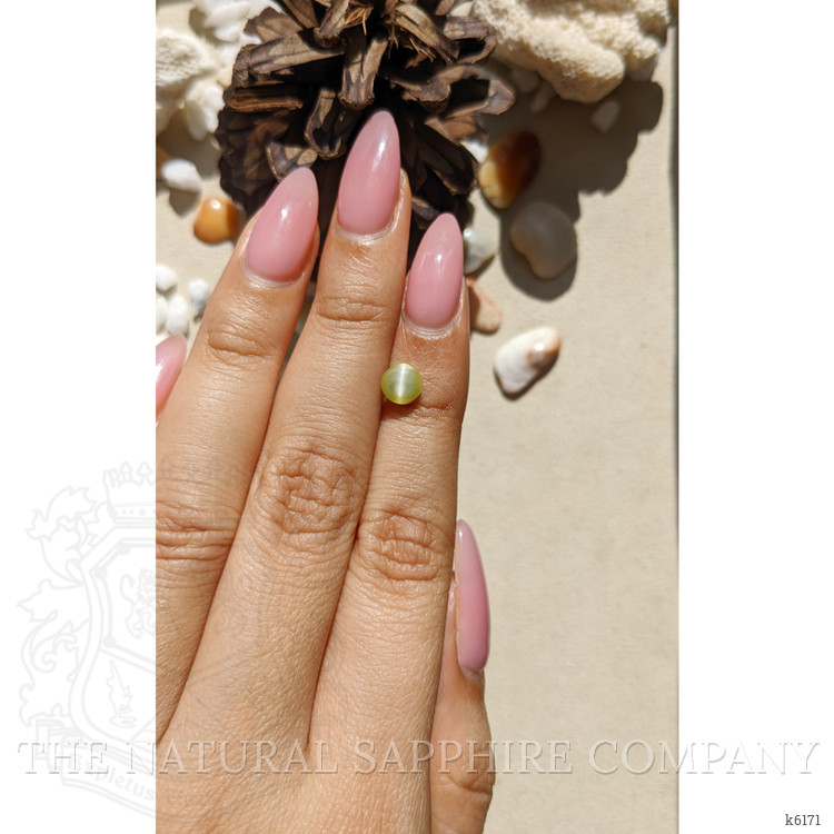 1.11 Ct. Cabochon Chrysoberyl from Ceylon (Sri Lanka)