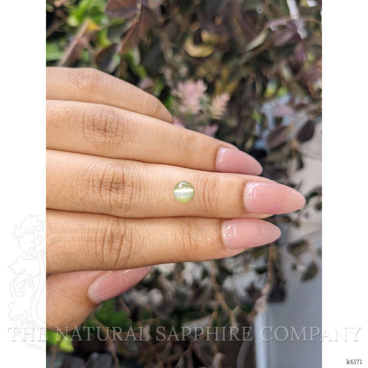 1.11 Ct. Cabochon Chrysoberyl from Ceylon (Sri Lanka)