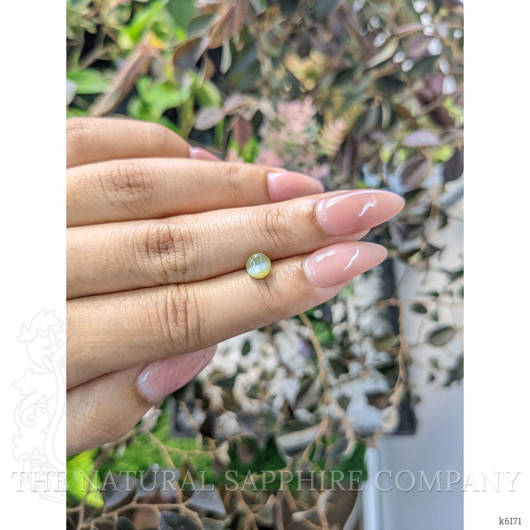 1.11 Ct. Cabochon Chrysoberyl from Ceylon (Sri Lanka)