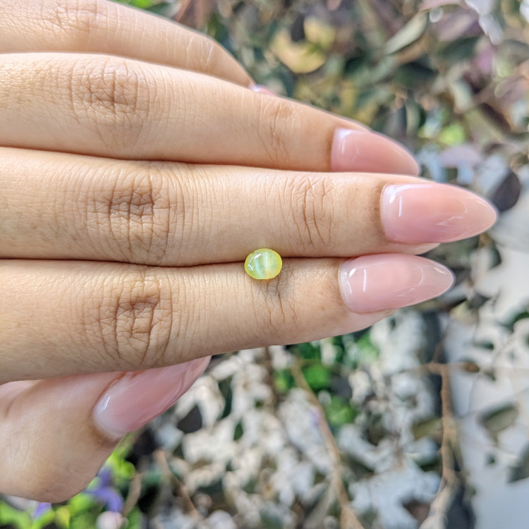 0.99 Ct. Cabochon Chrysoberyl from Ceylon (Sri Lanka)