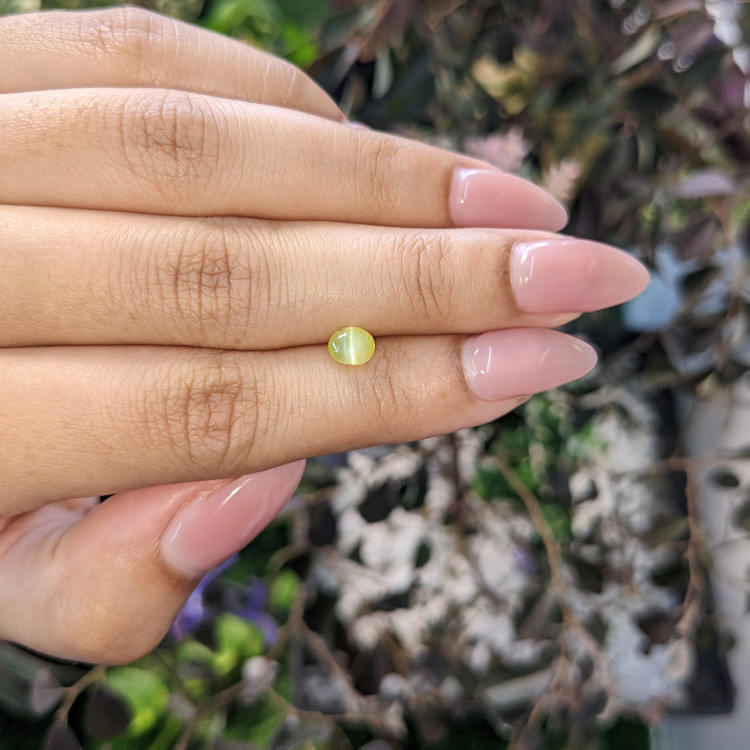 0.99 Ct. Cabochon Chrysoberyl from Ceylon (Sri Lanka)