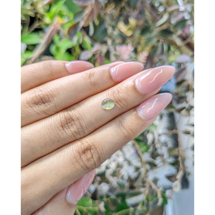 0.71 Ct. Cabochon Chrysoberyl from Ceylon (Sri Lanka)