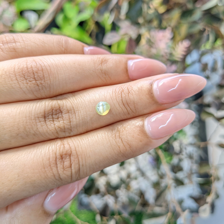 0.54 Ct. Cabochon Chrysoberyl from Ceylon (Sri Lanka)
