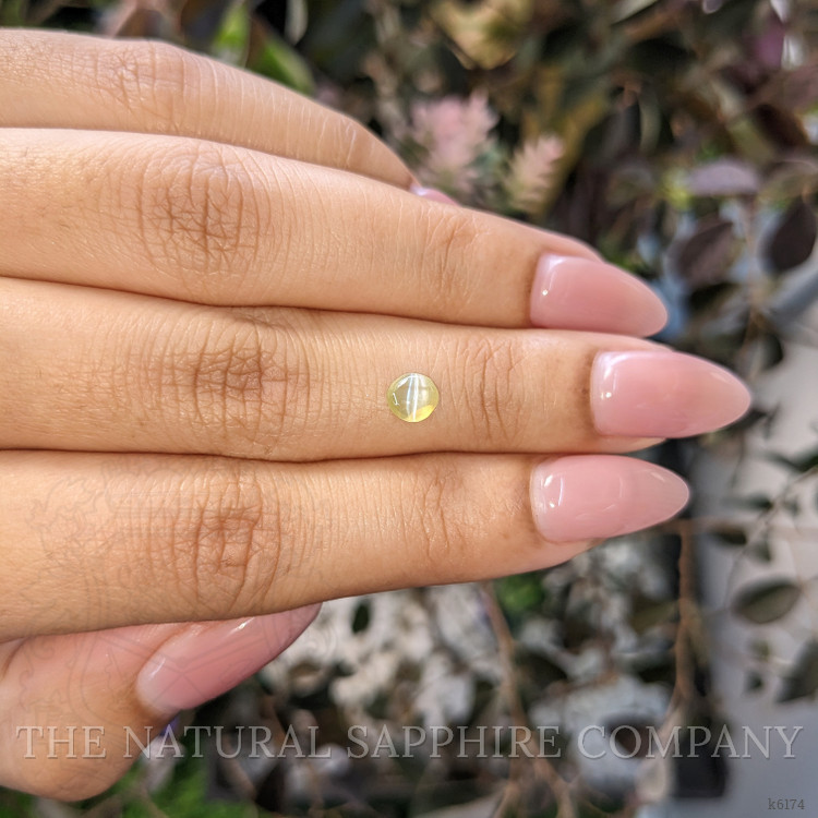 0.54 Ct. Cabochon Chrysoberyl from Ceylon (Sri Lanka)