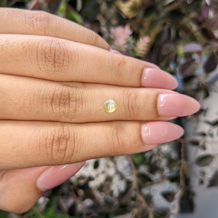 0.54 Ct. Cabochon Chrysoberyl from Ceylon (Sri Lanka)