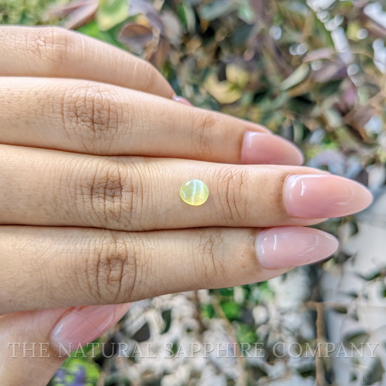 0.83 Ct. Cabochon Chrysoberyl from Ceylon (Sri Lanka)