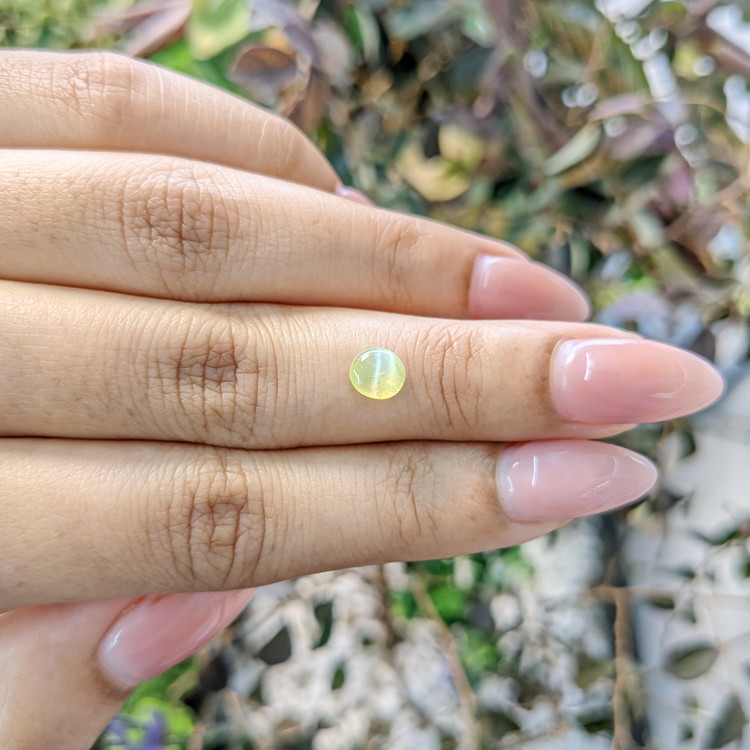 0.83 Ct. Cabochon Chrysoberyl from Ceylon (Sri Lanka)